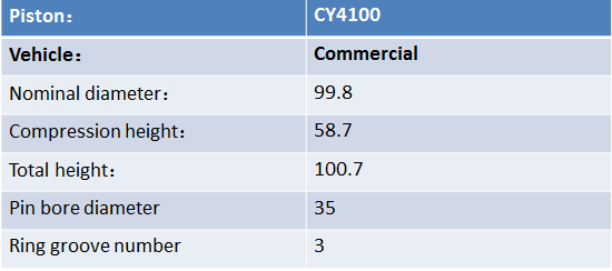 Bohai Piston CY4100